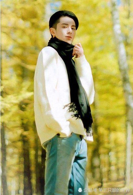 王鹤棣宋伊人最新爆料消息,甜蜜互动引粉丝热议  第3张